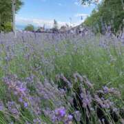 ヒメ日記 2025/08/17 18:06 投稿 柏木ちか お姉さんLABO -艶-