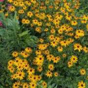 ヒメ日記 2025/08/22 23:08 投稿 柏木ちか お姉さんLABO -艶-