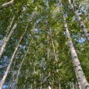 ヒメ日記 2025/08/23 14:08 投稿 柏木ちか お姉さんLABO -艶-