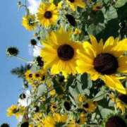 ヒメ日記 2025/08/28 22:21 投稿 柏木ちか お姉さんLABO -艶-