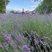 ヒメ日記 2025/09/06 19:48 投稿 柏木ちか お姉さんLABO -艶-