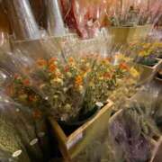 ヒメ日記 2025/09/28 18:58 投稿 柏木ちか お姉さんLABO -艶-