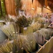 ヒメ日記 2025/09/29 19:18 投稿 柏木ちか お姉さんLABO -艶-