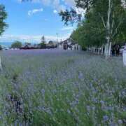 ヒメ日記 2025/09/29 19:25 投稿 柏木ちか お姉さんLABO -艶-