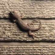 ヒメ日記 2025/06/21 21:48 投稿 みに 制服天国（ユメオト）