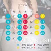 桃井るな 3月スケジュール🌸 密着ヌルヌル 高級やみつきエステ厚木店