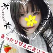 ヒメ日記 2025/04/18 16:08 投稿 もか 池袋デリヘル倶楽部