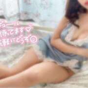 ヒメ日記 2026/02/28 14:49 投稿 吉田 かれん メルビス＆アトリアーナ