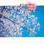 ヒメ日記 2025/04/04 10:46 投稿 まい 奥様鉄道69 仙台店