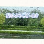 ヒメ日記 2025/05/10 06:16 投稿 まい 奥様鉄道69 仙台店