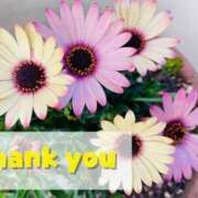 ヒメ日記 2025/05/22 17:30 投稿 まい 奥様鉄道69 仙台店