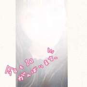 ヒメ日記 2025/05/31 06:41 投稿 まい 奥様鉄道69 仙台店