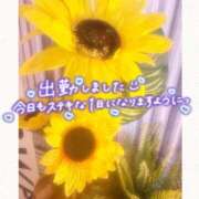 ヒメ日記 2026/06/27 08:26 投稿 まい 奥様鉄道69 仙台店