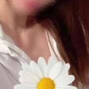 ヒメ日記 2025/04/02 13:03 投稿 りな 出会い系人妻ネットワーク 上野〜大塚編