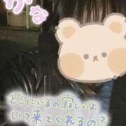 ヒメ日記 2025/04/02 12:22 投稿 かな 福岡ちゃんこ大牟田店