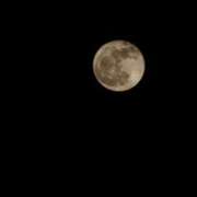 ヒメ日記 2025/05/13 21:48 投稿 かな 福岡ちゃんこ大牟田店