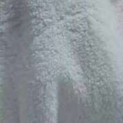 ヒメ日記 2026/01/30 11:33 投稿 かな 福岡ちゃんこ大牟田店