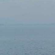 ヒメ日記 2026/04/07 22:04 投稿 かな 福岡ちゃんこ大牟田店