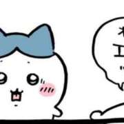 ヒメ日記 2025/11/22 06:52 投稿 のどか アラカルト