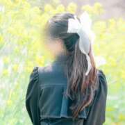 ヒメ日記 2025/04/08 08:24 投稿 井上このみ【割引対象外】 elumo(エルモ)