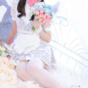 ヒメ日記 2025/05/07 19:29 投稿 井上このみ【割引対象外】 elumo(エルモ)