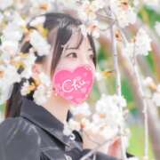 ヒメ日記 2025/05/26 20:00 投稿 井上このみ【割引対象外】 elumo(エルモ)