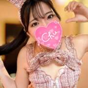 ヒメ日記 2025/10/29 08:47 投稿 井上このみ【割引対象外】 elumo(エルモ)