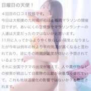 ヒメ日記 2025/11/21 19:19 投稿 井上このみ【割引対象外】 elumo(エルモ)