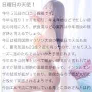 ヒメ日記 2025/12/15 09:26 投稿 井上このみ【割引対象外】 elumo(エルモ)