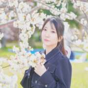 ヒメ日記 2026/04/13 21:51 投稿 井上このみ【割引対象外】 elumo(エルモ)