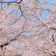 ヒメ日記 2025/04/10 20:35 投稿 相原みのる elumo(エルモ)