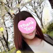 ヒメ日記 2025/04/10 10:35 投稿 かのん 諭吉で2度ヌキ！