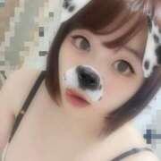 ヒメ日記 2025/11/06 16:31 投稿 れもん 激安ドットコム