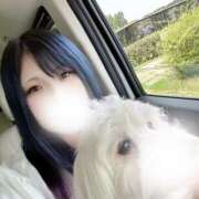 ヒメ日記 2025/08/09 20:55 投稿 めい 僕のぽっちゃり伝説