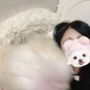 ヒメ日記 2025/09/04 17:15 投稿 めい 僕のぽっちゃり伝説