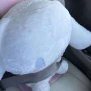 ヒメ日記 2026/01/25 17:05 投稿 めい 僕のぽっちゃり伝説