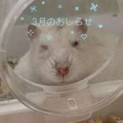 ヒメ日記 2026/02/22 15:45 投稿 めい 僕のぽっちゃり伝説