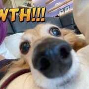 ヒメ日記 2026/02/23 20:45 投稿 めい 僕のぽっちゃり伝説