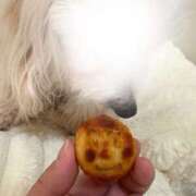 ヒメ日記 2026/04/27 17:05 投稿 めい 僕のぽっちゃり伝説