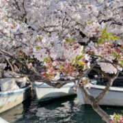 ヒメ日記 2025/04/08 20:08 投稿 りず 五反田みるみる(ユメオト)