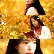 ヒメ日記 2025/11/05 08:13 投稿 宮寺カレン ミスターダンディー