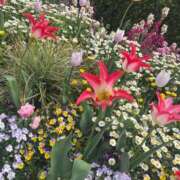 ヒメ日記 2025/10/04 13:51 投稿 かのん 淫乱痴女エステ