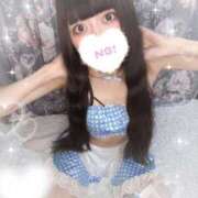 ヒメ日記 2025/05/08 10:08 投稿 ねむ C.C.CATS