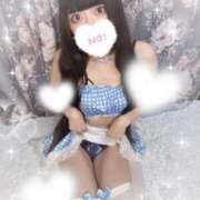 ヒメ日記 2025/05/16 20:48 投稿 ねむ C.C.CATS