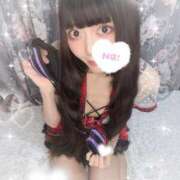 ヒメ日記 2025/05/19 11:09 投稿 ねむ C.C.CATS