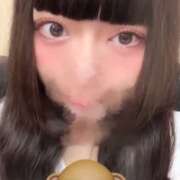 ヒメ日記 2025/06/03 13:21 投稿 ねむ C.C.CATS