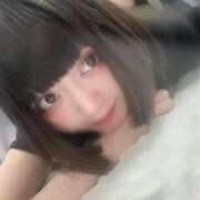 ヒメ日記 2025/06/23 12:41 投稿 ねむ C.C.CATS