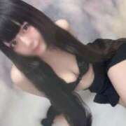 ヒメ日記 2025/07/04 20:02 投稿 ねむ C.C.CATS