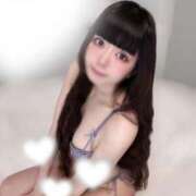 ヒメ日記 2025/07/09 12:21 投稿 ねむ C.C.CATS