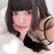 ヒメ日記 2025/07/20 15:41 投稿 ねむ C.C.CATS